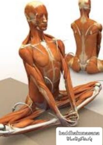 یوگا بادهاکوناسانا