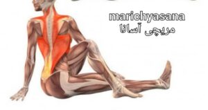 یوگا مریچی اسانا