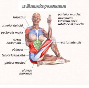 یوگا آرد ها ماتسی آسانا