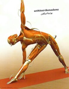 یوگا یوتیتا تریکون آسانا