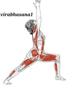 یوگا ویراب هاسانا