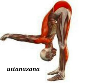 یوگا اوتاناسانا