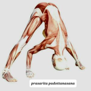 یوگا راساریتا پادوتاسانا