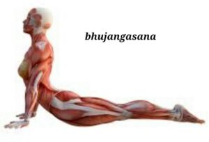 یوگا بوجانگ آسانا