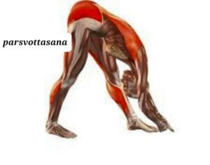 یوگا حرکت پارشوااتاناسانا