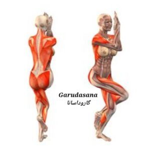 یوگا گاروداسانا