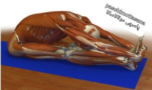 یوگا پاسچی موتاناسانا