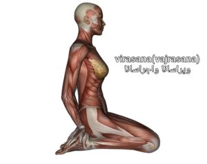 یوگا ازگل | یوگا محلاتی | یوگا نیاوران | یوگا لویزان | یوگا اقدسیه | مربی یوگا | کلاس یوگا ازگل | shineofyoga | یوگا تهران | آموزش یوگا ازگل | حرکات یوگا