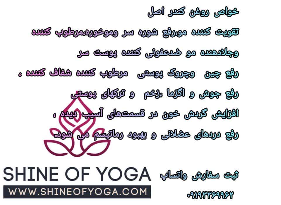 روغن کندر اصل